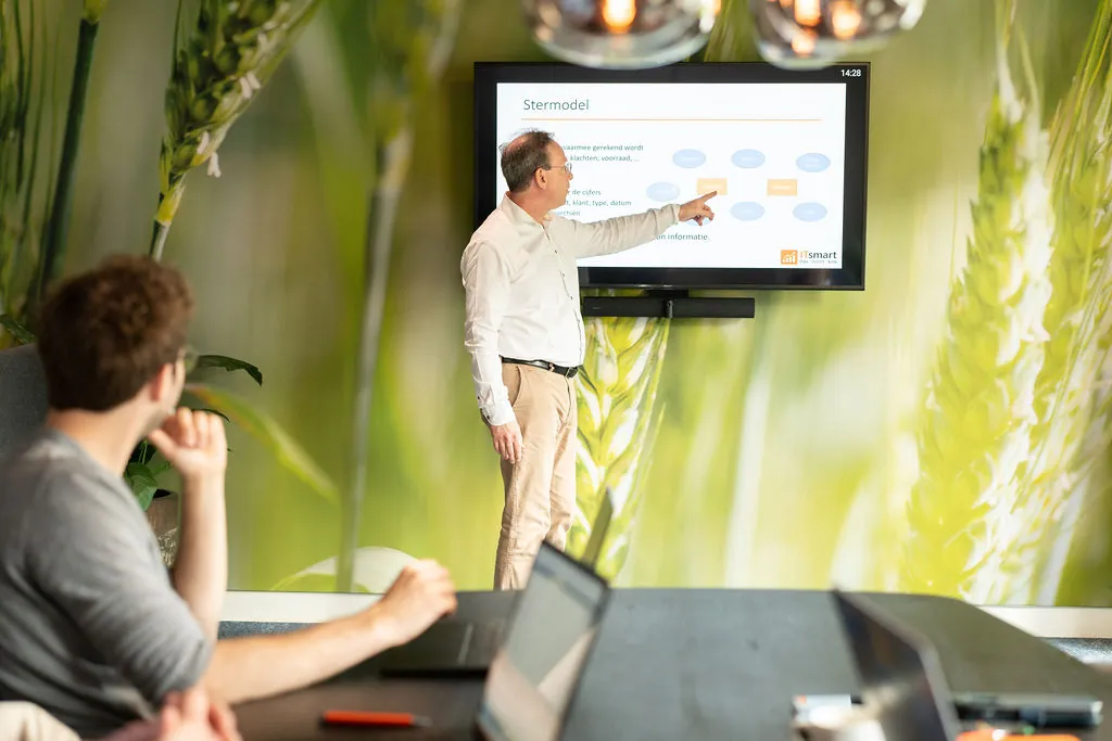 Presentatie over een stermodel: de presentator wijst een dia aan